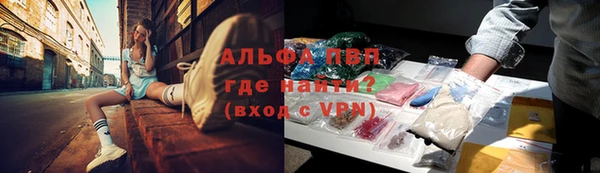 хмурый Нефтекумск