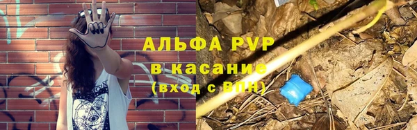 хмурый Нефтекумск