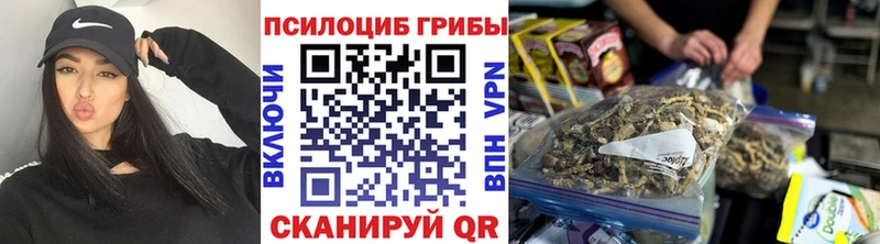 как найти закладки  Лесозаводск  Псилоцибиновые грибы Psilocybe 